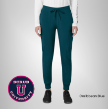 Carhartt Women's Force Cross-Flex Cargo Jogger Scrub Pant 11