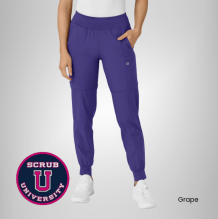 Wink Women's Comfort Waist Cargo Jogger Scrub Pant 15