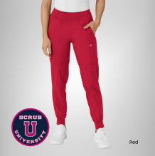 Wink Women's Comfort Waist Cargo Jogger Scrub Pant 7