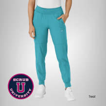 Wink Women's Comfort Waist Cargo Jogger Scrub Pant 5