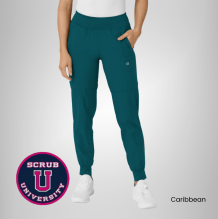 Wink Women's Comfort Waist Cargo Jogger Scrub Pant 19